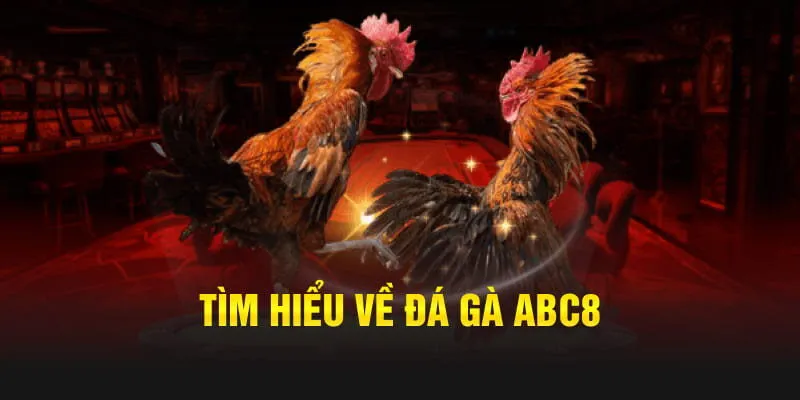 Tìm hiểu đá gà trực tuyến quá đơn giản cùng ABC8