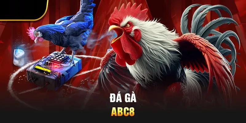Hệ thống cá cược ABC8 cực đa dạng chất lượng